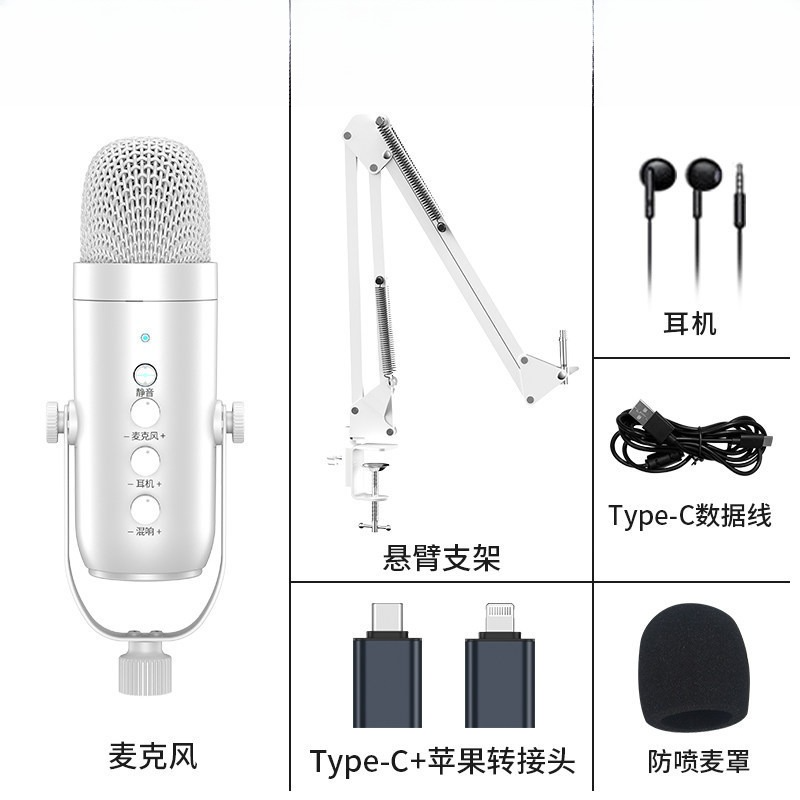 USB Condenser Microphone (No Lightning Adapter) With Noise Cancellation - Plug-and-Play for PS 4/5, iPad, Mac/Windows/Phones/PC, Vlogging Equipment with Monitor Adjust, Volume/Mic Gain Control, Mute Button, Podcast, Sing, ASMR Black Geek Gift