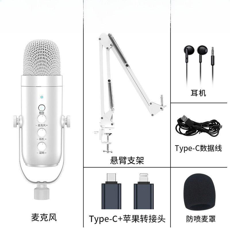 Cardioid Gaming Condenser Microphone Kit with Boom Arm, Mic Clamp, USB Audio Cable, Type-C Adapter, Mute Button, Echo Volume Gain Knob, Monitor Adjustment - 3.5mm Jack, High SPL Handling, Manual, for Phone/PC/Tablets Live Streaming, Podcast Setup