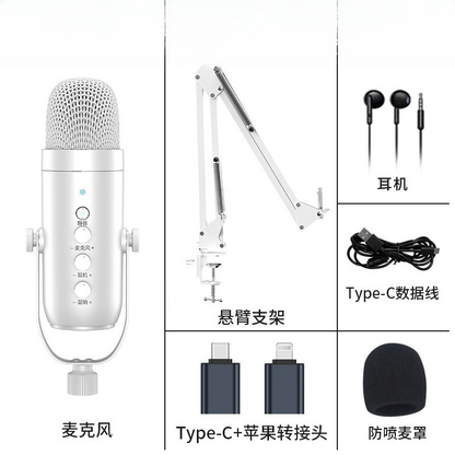 Cardioid Gaming Condenser Microphone Kit with Boom Arm, Mic Clamp, USB Audio Cable, Type-C Adapter, Mute Button, Echo Volume Gain Knob, Monitor Adjustment - 3.5mm Jack, High SPL Handling, Manual, for Phone/PC/Tablets Live Streaming, Podcast Setup