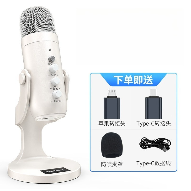 Cardioid Gaming Condenser Microphone Kit with Boom Arm, Mic Clamp, USB Audio Cable, Type-C Adapter, Mute Button, Echo Volume Gain Knob, Monitor Adjustment - 3.5mm Jack, High SPL Handling, Manual, for Phone/PC/Tablets Live Streaming, Podcast Setup